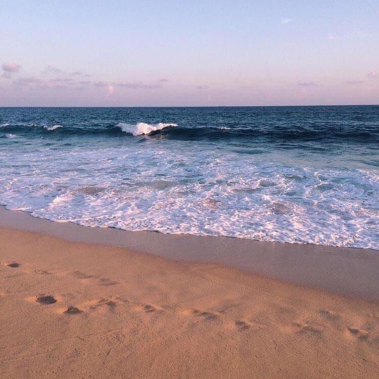 I need some vitamin sea.