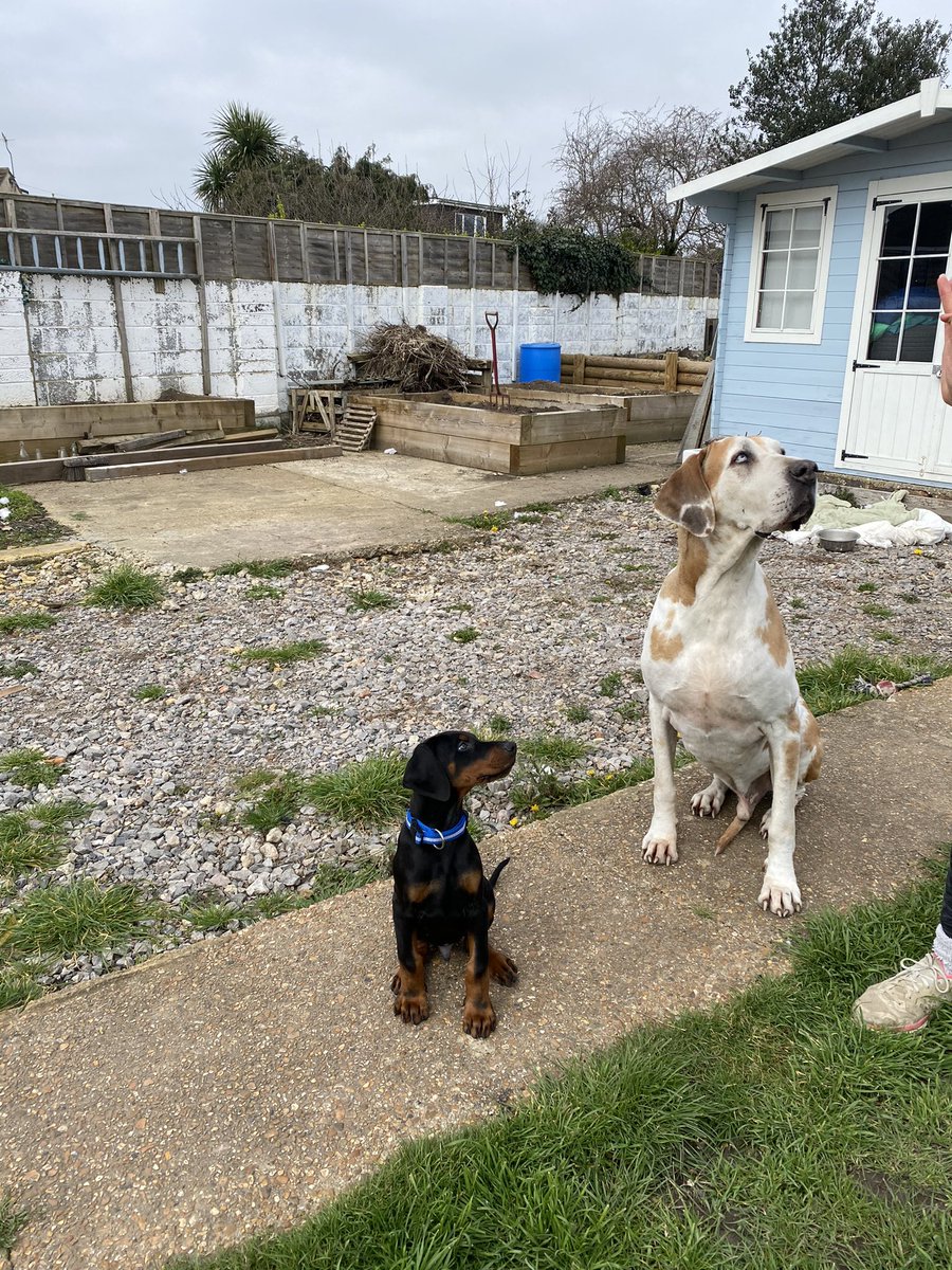 Shaun Challis tweet media