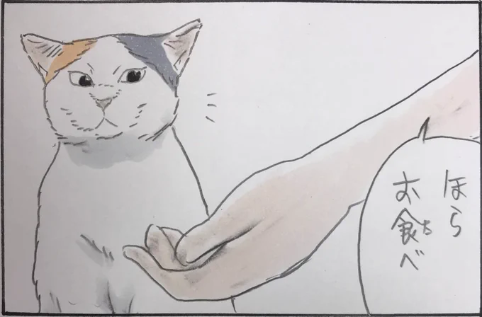 『いるの?いらないの?』 