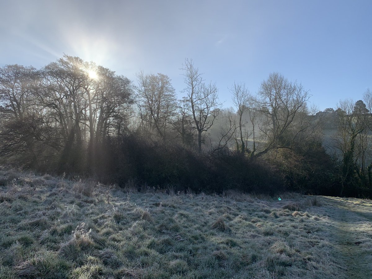 Shearaa's tweet photo. ⁦@Hudsonweather⁩ beautiful morning near Bulmer village in North Yorkshire https://t.co/R8ZF88k9HZ