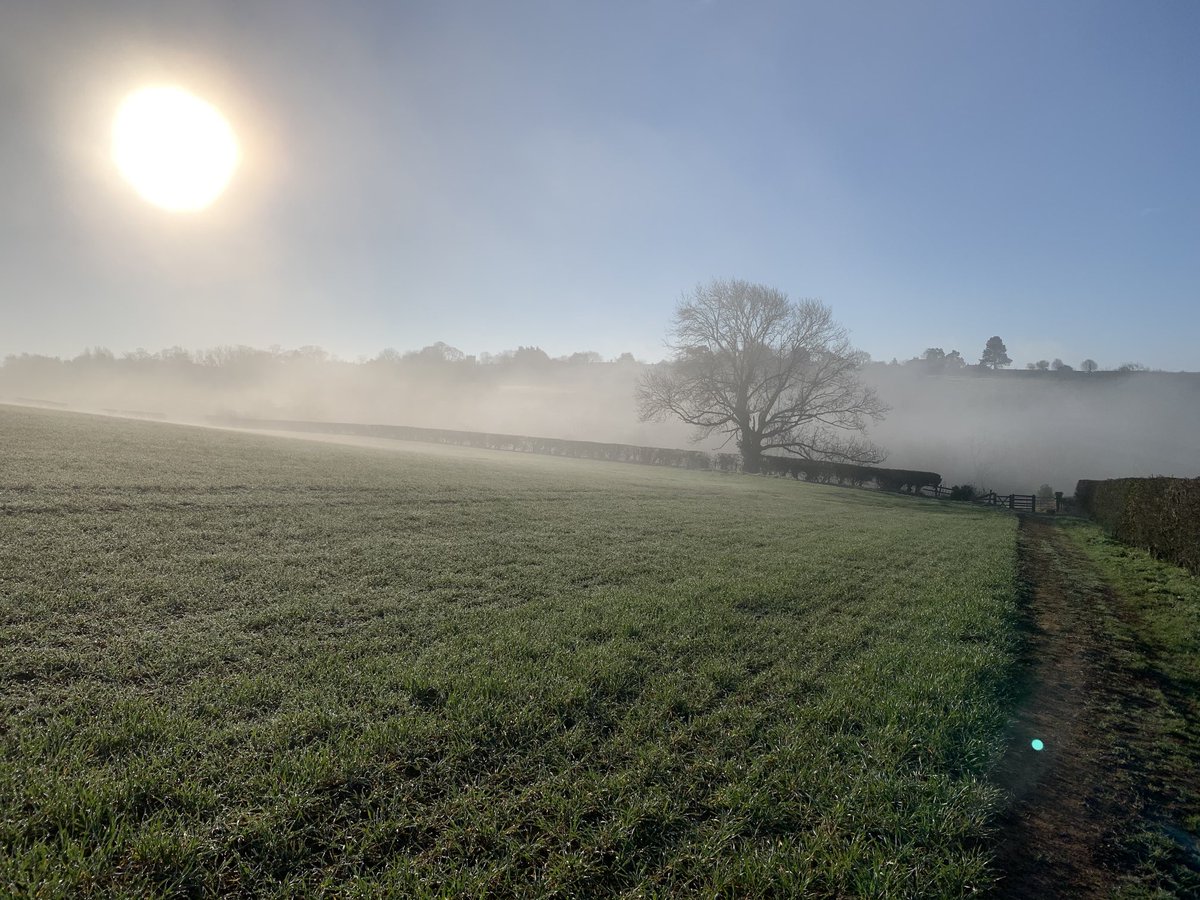 Shearaa's tweet photo. ⁦@Hudsonweather⁩ beautiful morning near Bulmer village in North Yorkshire https://t.co/R8ZF88k9HZ