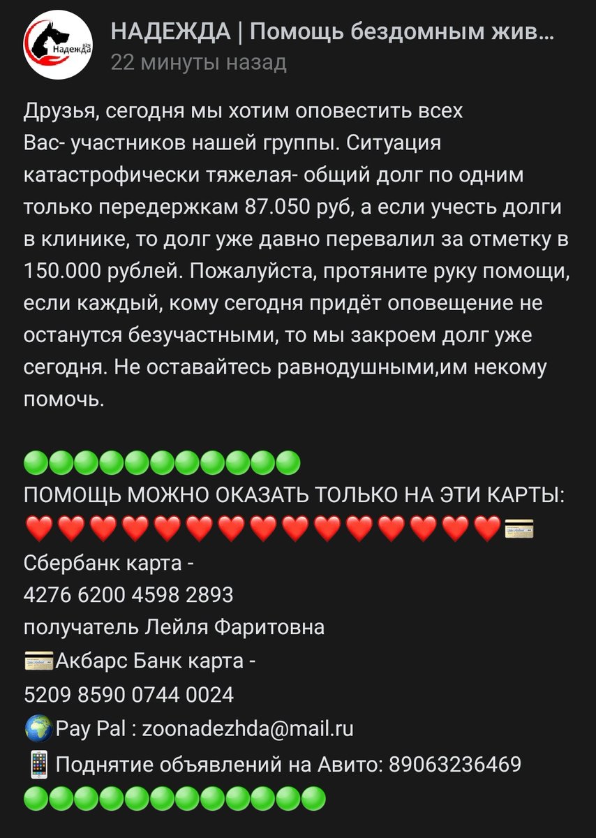 Erodaicon's tweet photo. Ребята зооактивисты, Распространите пожалуйста! 🙏
В моем городе загибается сообщество помощи бездомным животным, долги огромные. Давайте поможем им с миру по нитке, если закроется хоть часть долгов - будет уже отлично!
😭😭😭
Ссылка на саму группу в вк: https://t.co/baJd43cQrc https://t.co/hJcOhW9UQo