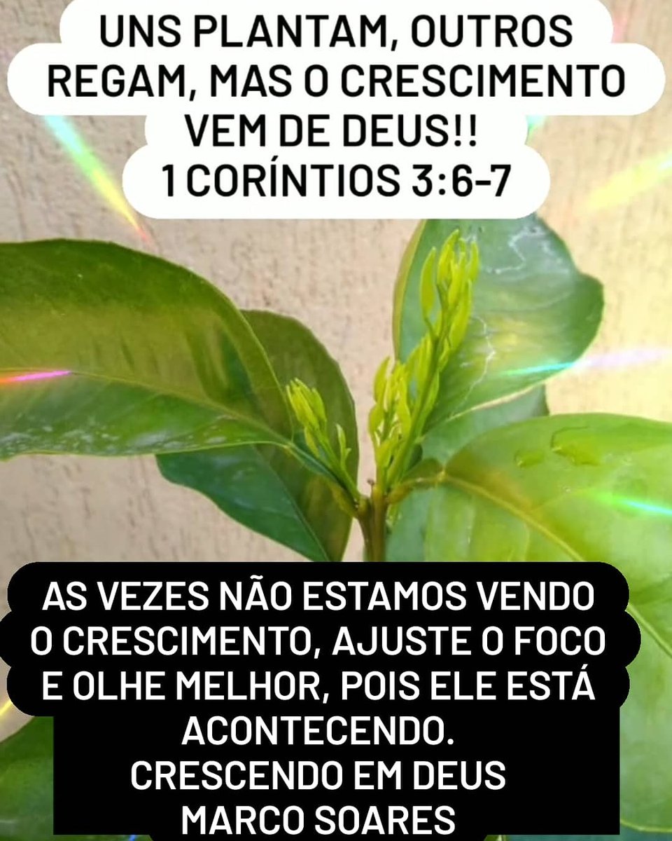 PrMarcoSoares's tweet photo. https://t.co/93ssHPaeax