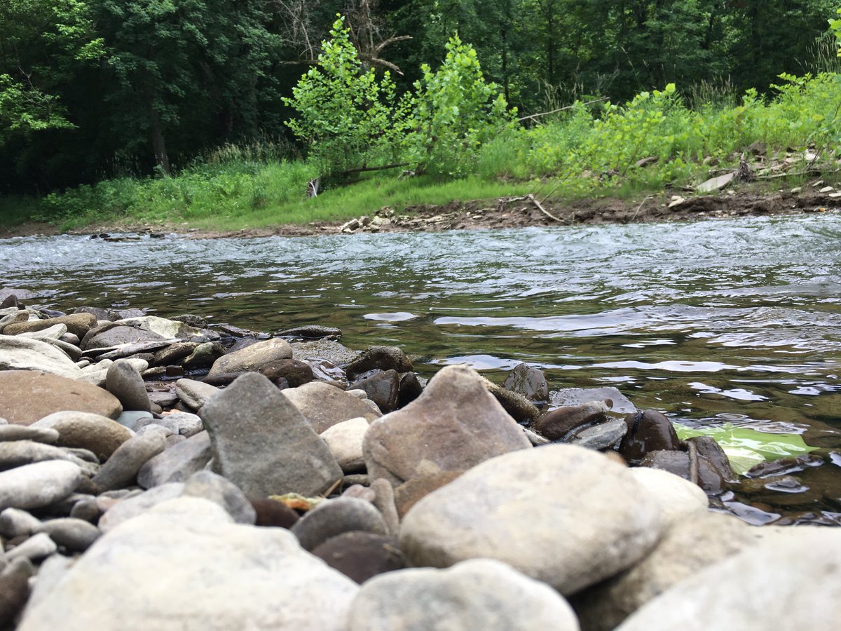 WeAreBCWA's tweet photo. On this #WorldWaterDay, and every day, BCWA recognizes that our environment, society, and economy all depend on clean water and a healthy watershed. It is vital to protect our land in its natural state in order to keep our water clean! 💧 #WatershedWaterDay https://t.co/DNHxkUylXr