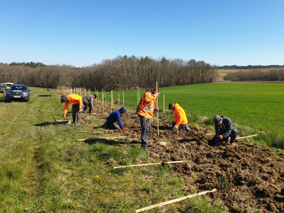 FDCDordogne's tweet photo. Dans le cadre du programme Agrifaune, la FDC24 a implanté samedi une haie de 500m chez M. Gastal à Brantôme, avec l'aide des chasseurs de Lombraud. Félicitations à tous https://t.co/xwAbzm6tI9