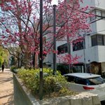 ツイートに含まれる画像