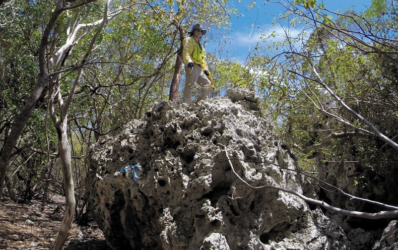 A Tsunami Likely Hurled Huge Rocks onto a Tiny Island https://t.co/5FlNumWshG https://t.co/CZd4wEZyoF