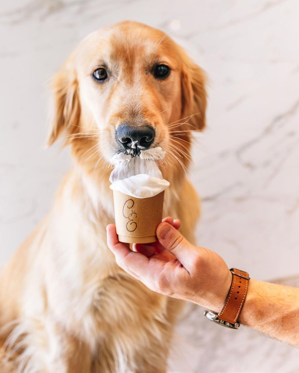 Her kisses are even sweeter after a Le Petit Puppuccino. #ChateauCanines
