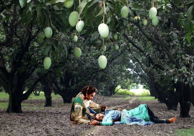 masad_nadeem's tweet photo. اٹھو انار کلی یہاں DHA بننے گا!!!
#DHA_Multan #trees_murder
Destruction Of Mango Orchards In Multan To Make Way For DHA Multan https://t.co/6DrQLe7XFG