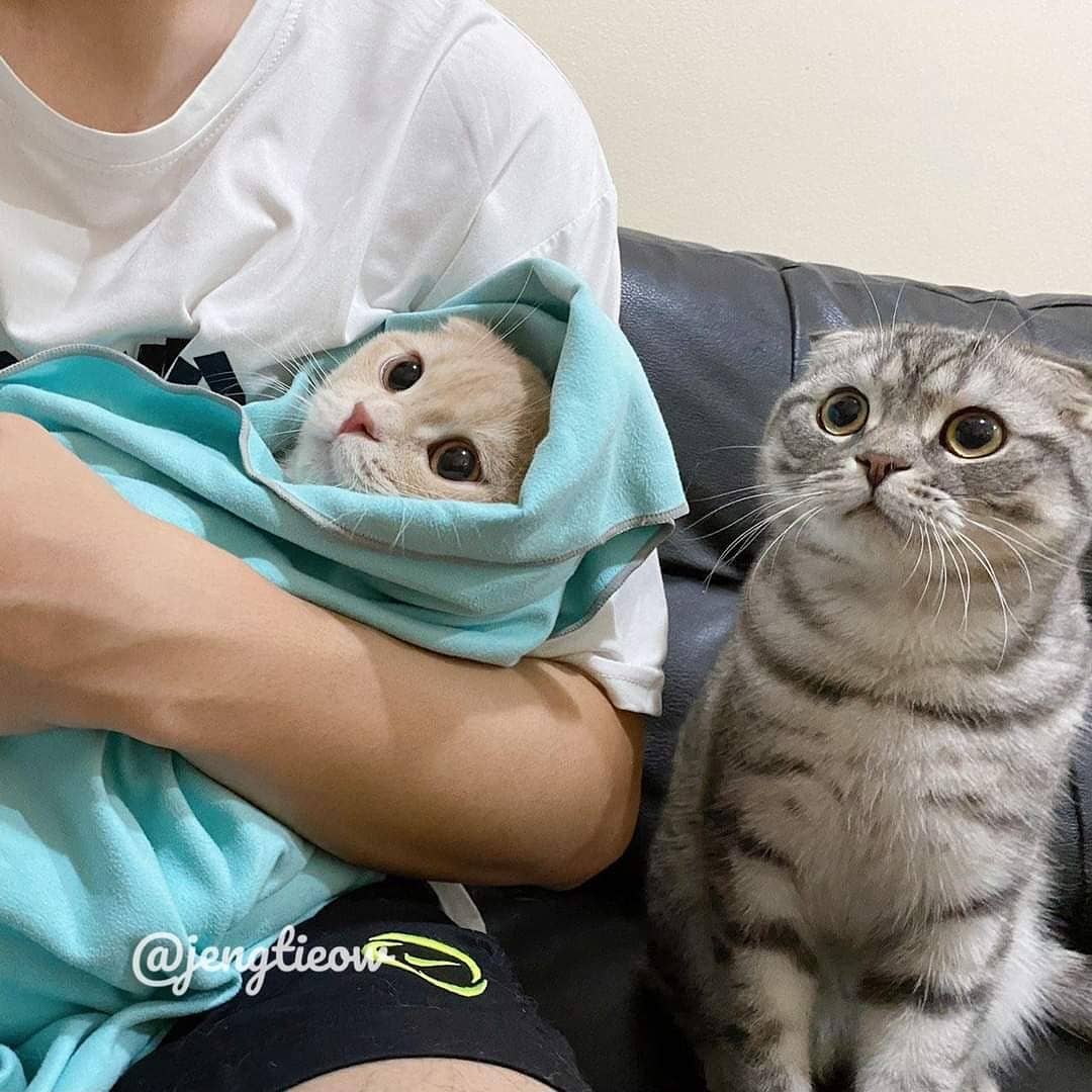 พี่เจ๋งน้องเตี๋ยวไม่ตีกันสิลูกกก tweet media
