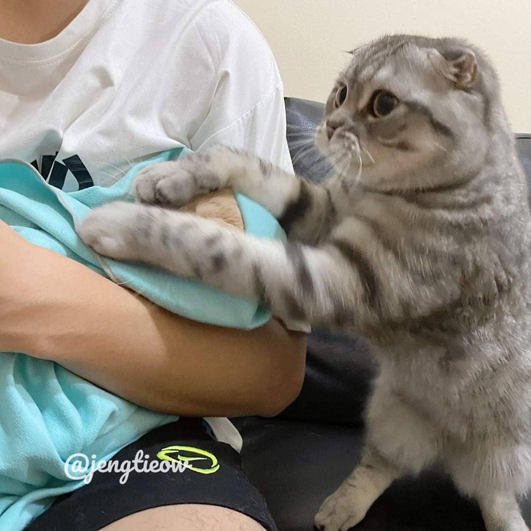 พี่เจ๋งน้องเตี๋ยวไม่ตีกันสิลูกกก tweet media