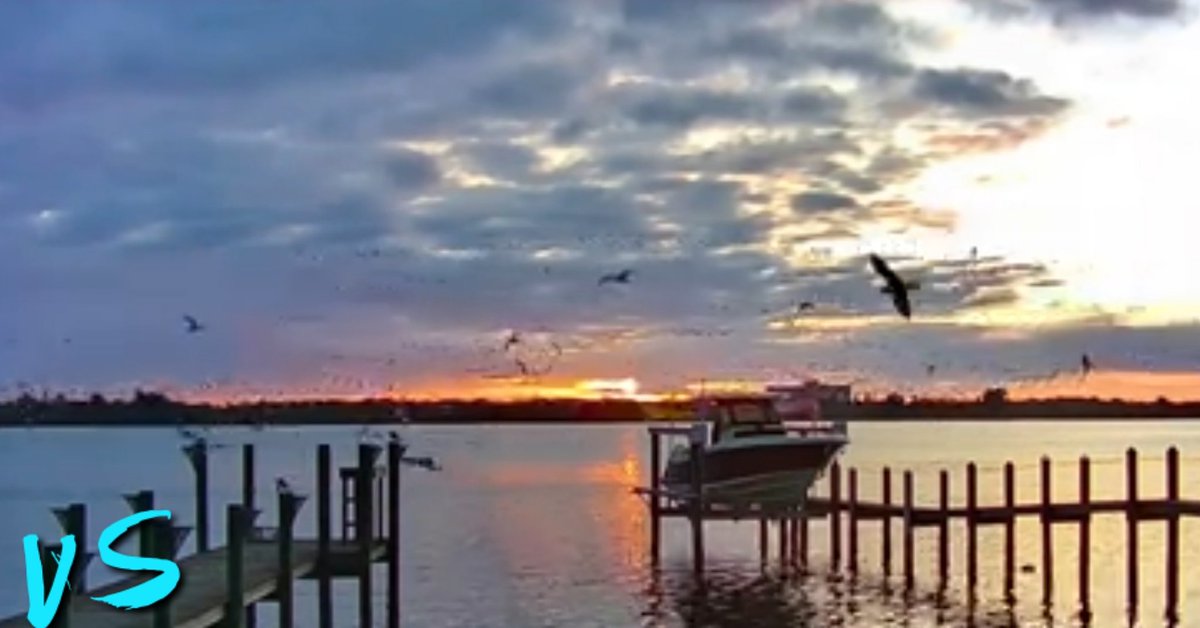 VivaSarasota's tweet photo. #SiestaKeySunrises #ThanksCharlie #GoodMorning #GoodMorningSrq #GoodMorningSarasota #GoodMorningSK #LoveSK #LoveSrq #LoveFL #SiestaKey #SiestaKeyFL https://t.co/EJzUjnI59I