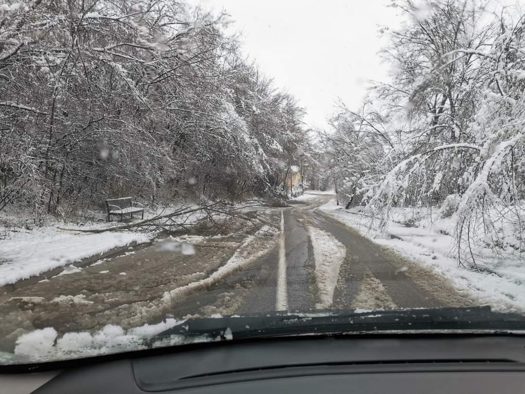 Снегот толку многу ги изненади службите на <a href="/OpstinaKarpos/">Opstina Karpos (Municipality of Karposh)</a>  што дури и не испратија екипи да ги исчистат снегот и паднатите дрвја 🤬