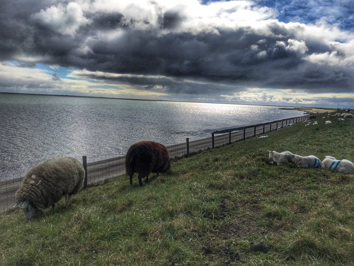 yogivt's tweet photo. Lancasterdijk https://t.co/MDbnSqekPT