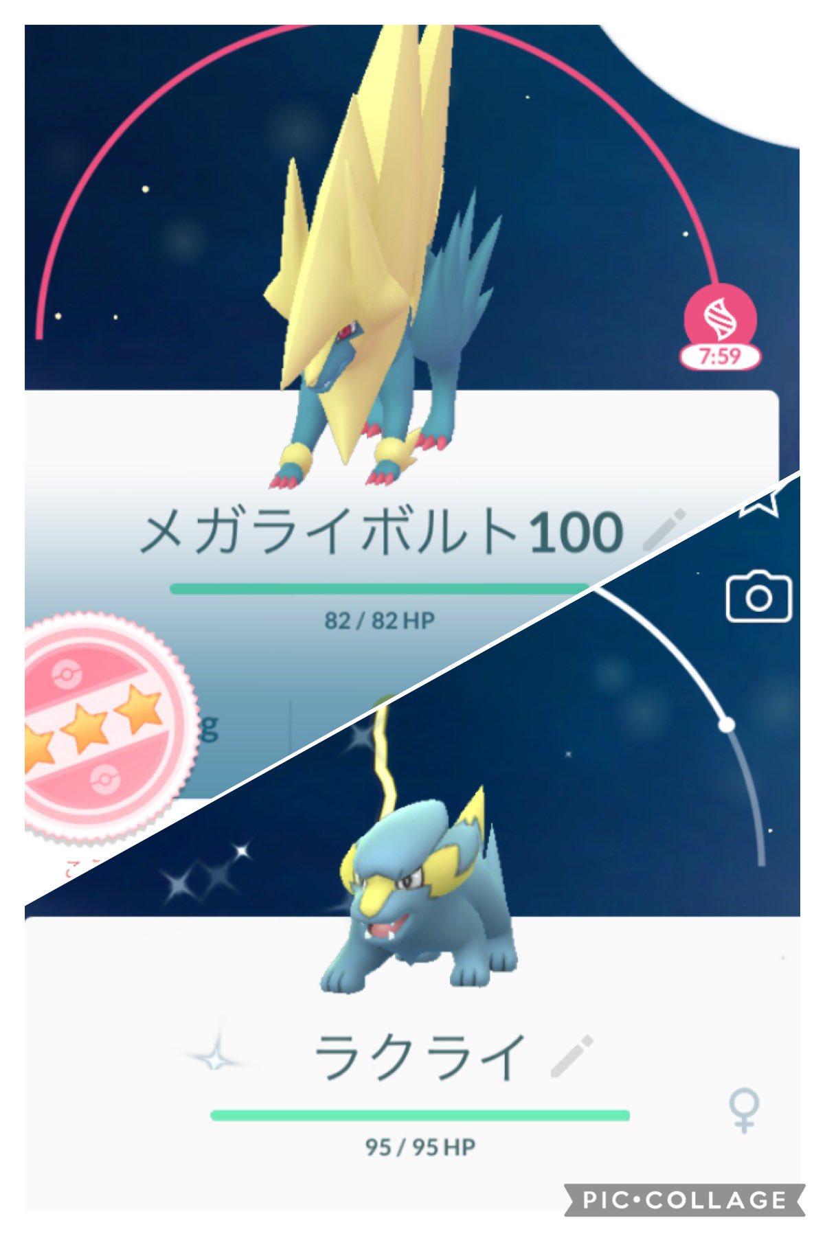 カズ ポケモントレーナー チャージ完了イベントお疲れ様でした 結果ですが野生のラクライは 計290タップして252タップ目で色違い1体と も1体出てくれました レイドのメガライボルトは 計49回挑戦して色違いと は出ず 98 は4体でした