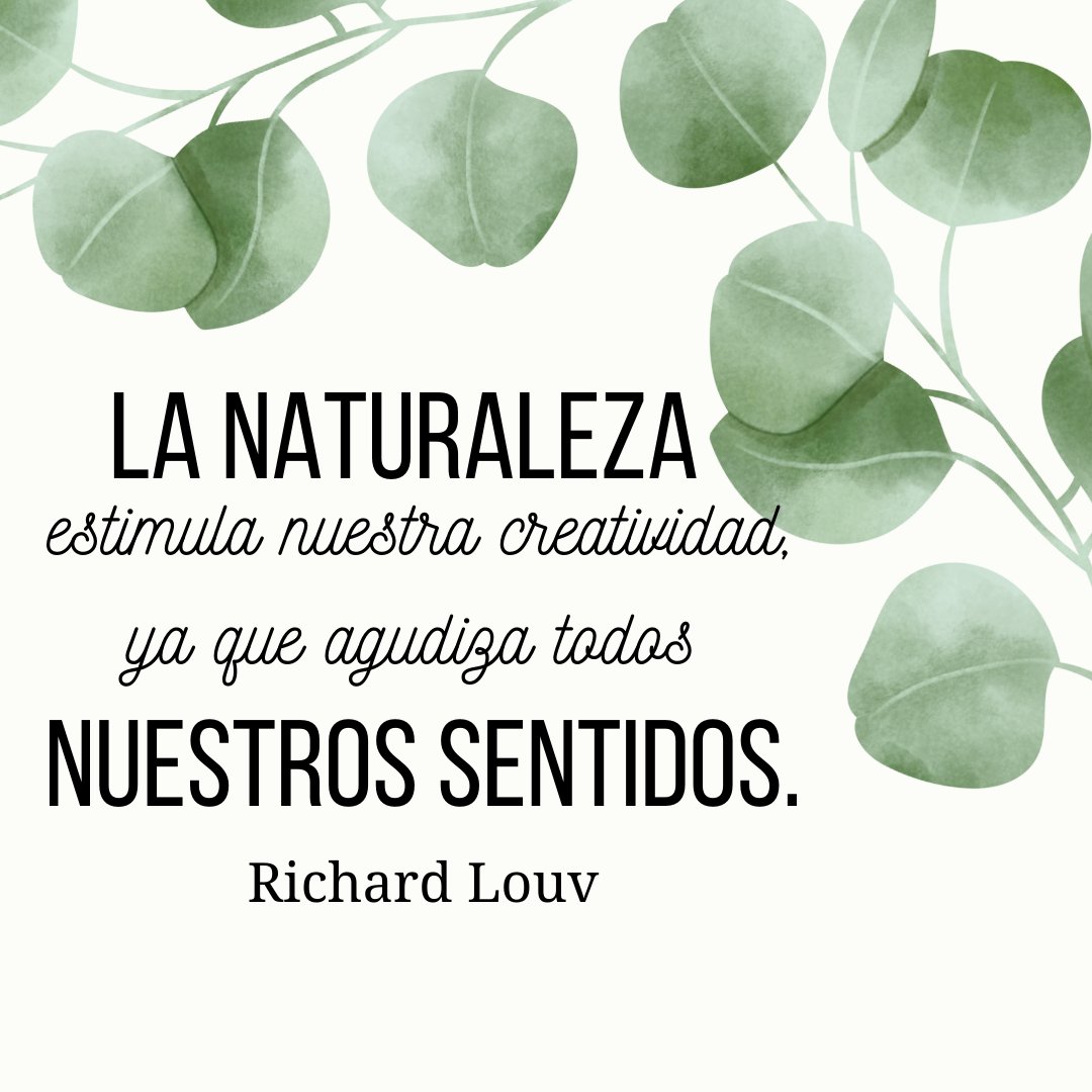 Según Richard Louv, autor del libro 'Los últimos niños en la naturaleza', la naturaleza juega un papel fundamental en la estimulación de la imaginación y la creatividad de los niños.

#eldocenteviral #innovacioeducativa #formaciondocente