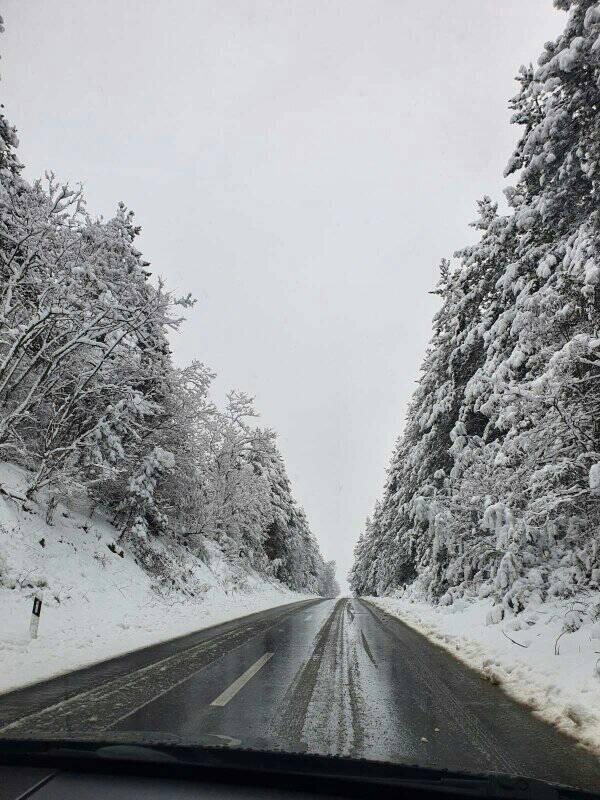 DarikMk's tweet photo. Spring in #Macedonia, road between #Delcevo and #Berovo . Beautiful Macedonia #Malesevijata
#travel #naturelovers https://t.co/fM75eZ6kr4