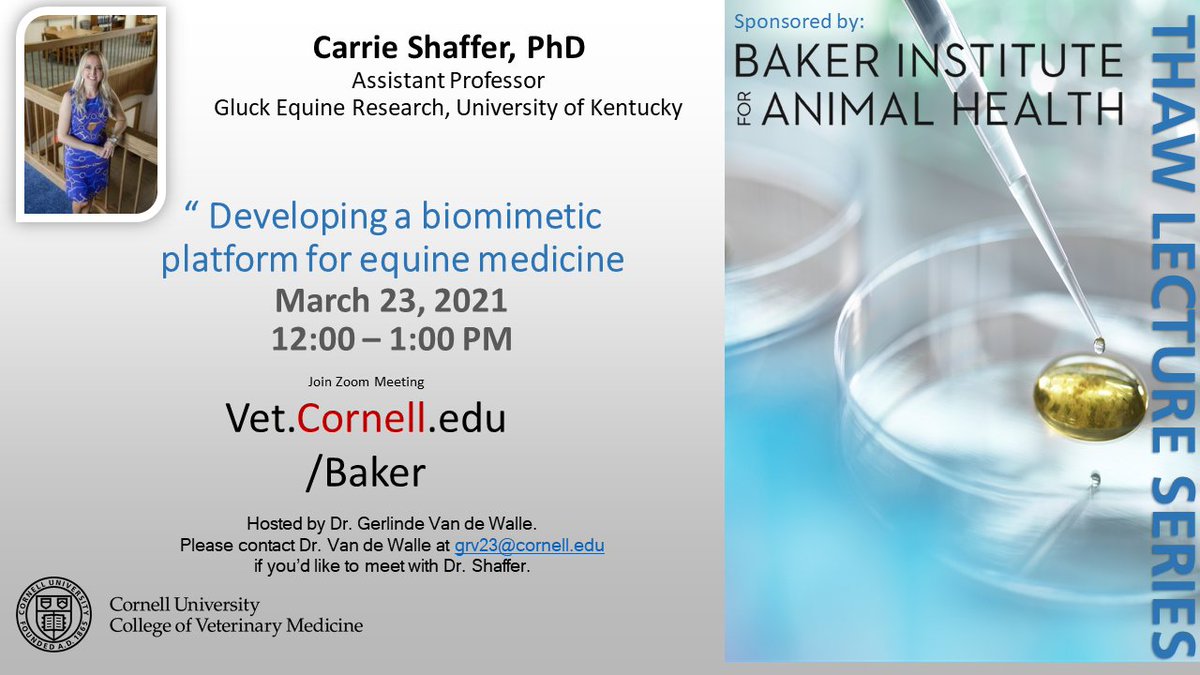 We hope you can join us tomorrow as Dr. Carrie Schaffer <a href="/CLShafferPhD/">Carrie Shaffer</a> from the Gluck Equine Research Center <a href="/UKGluckCenter/">UK Gluck Center</a> joins us to discuss "Developing a biomimetic platform for equine medicine." vet.cornell.edu/departments-ce…