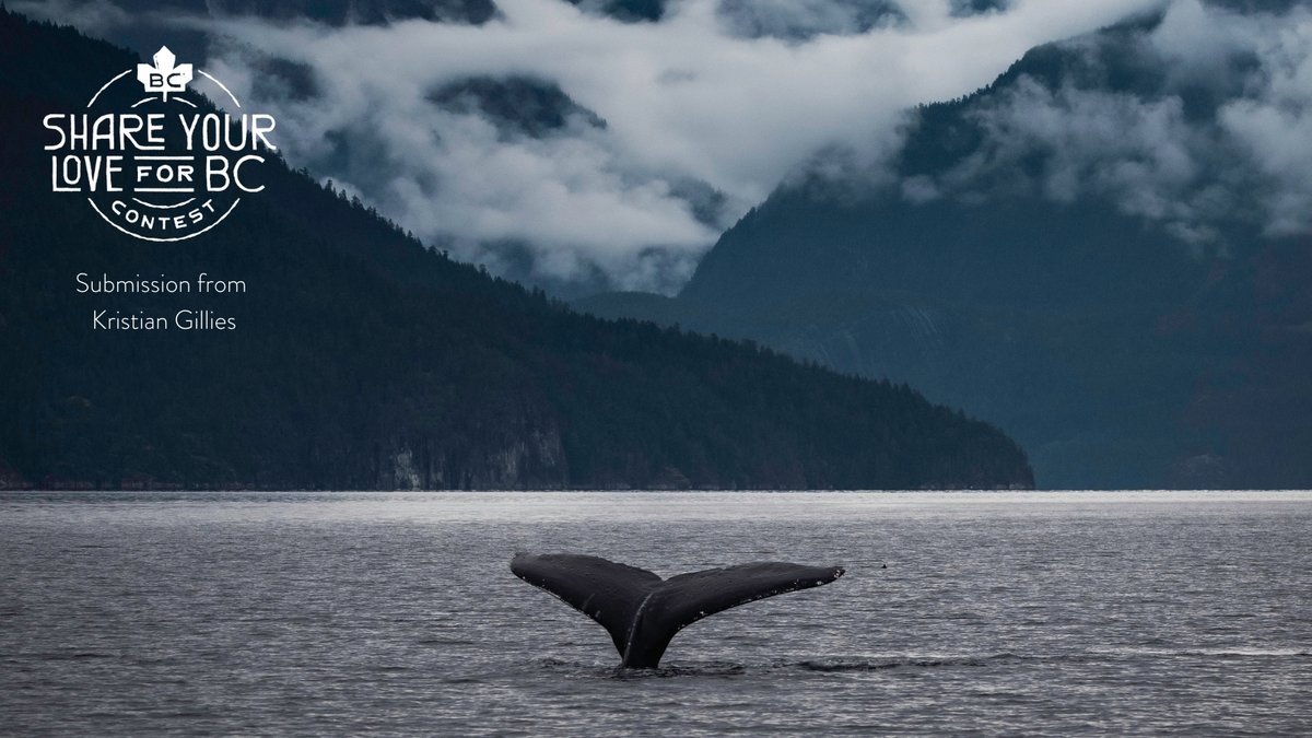 Super, Natural British Columbia tweet media