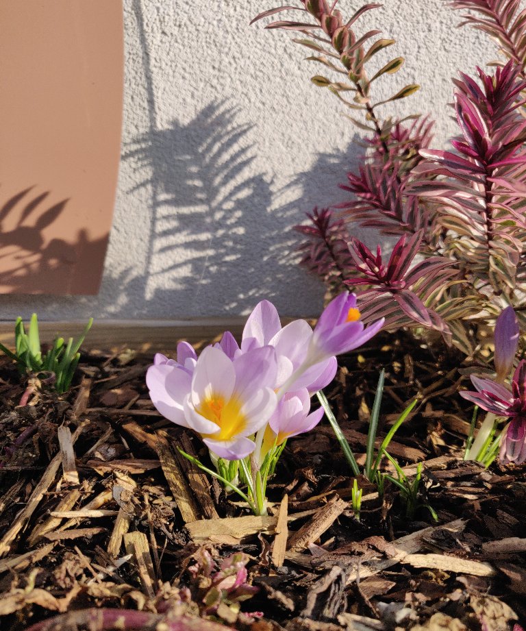 Spring is in the air!! The days are getting warmer and our centre is gearing to slowly open like the flowers in our flower box!