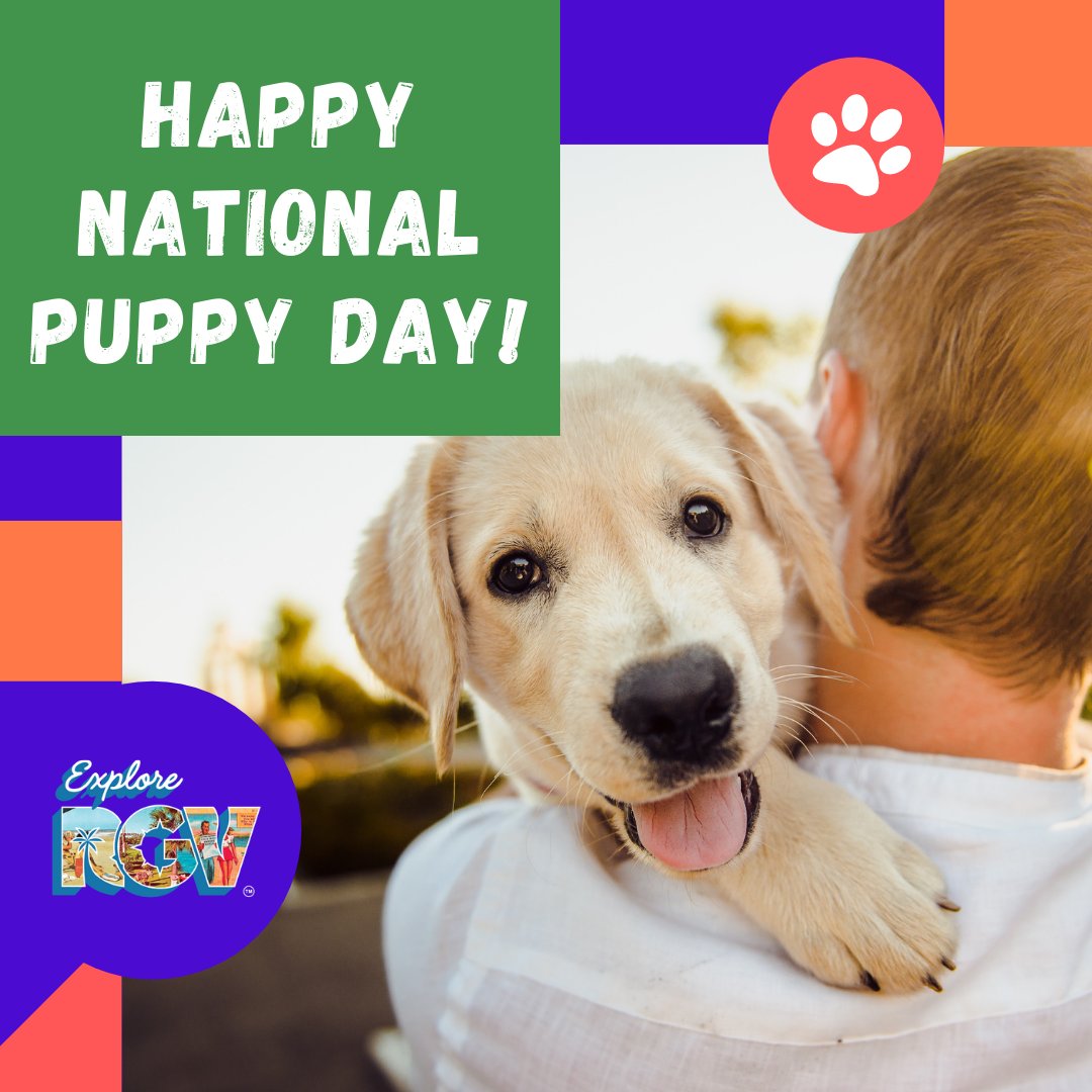 GoExploreRGV's tweet photo. Happy National Puppy Day!
 
Treat your furry friends with a trip to the dog park.
 
You can discover the many friendly parks in the RGV on our website!
https://t.co/Ch8DZ5GLxK
#ExploreRGV #RGV #puppy #DogPark https://t.co/g7wE2zZAbS