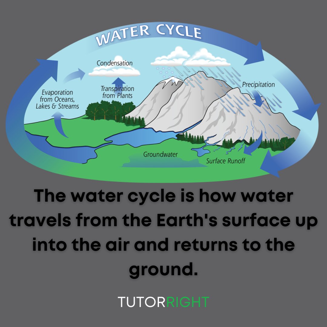TutorRight tweet media