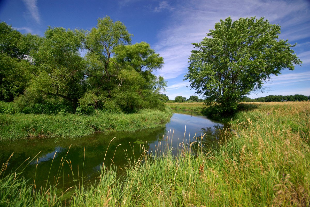 💧Your water comes from somewhere—somewhere worth protecting. 

This #WorldWaterDay, we celebrate the role of #NatureBasedSolutions in securing the clean water that makes life on Earth possible.nature.ly/313fk51