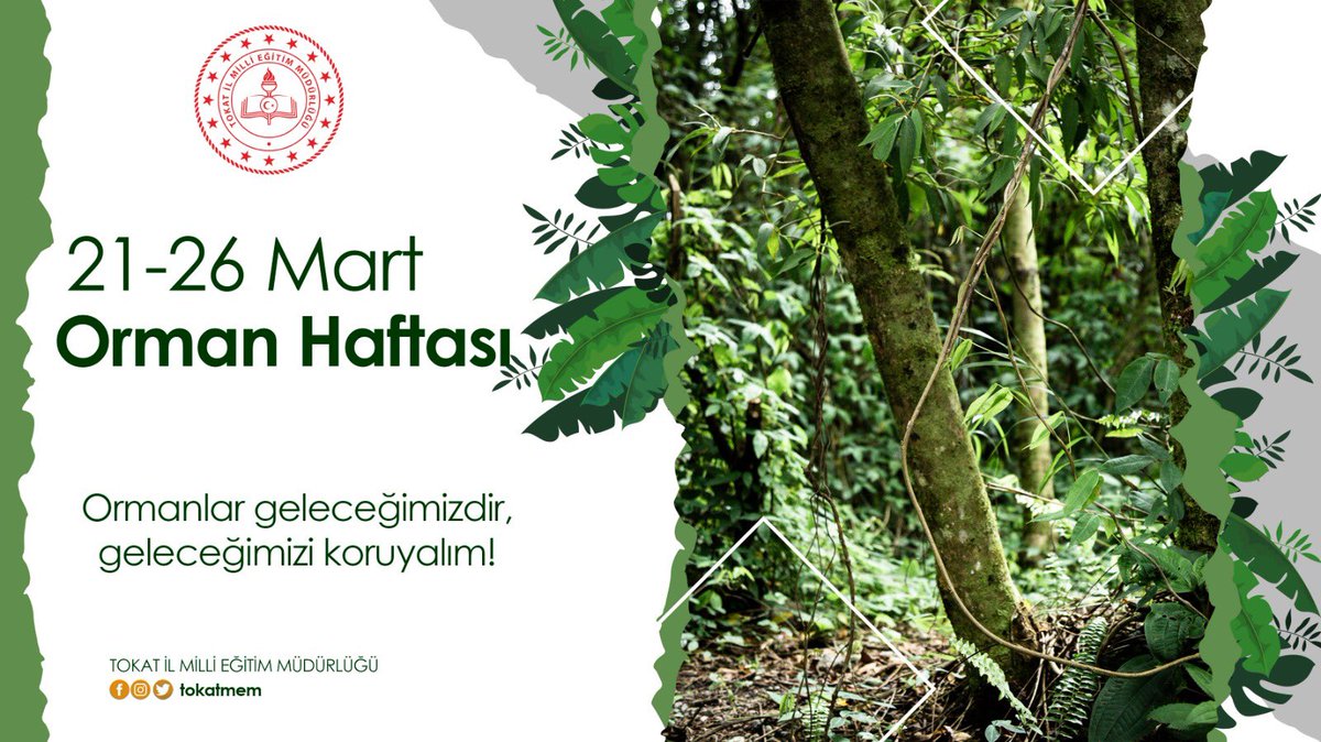tokatmem's tweet photo. 🌿🌳🌲Ormanlar geleceğimizdir, geleceğimizi koruyalım!
Dünya Ormancılık Günü ve Orman Haftası Kutlu Olsun!
@tcmeb @tokatvaliligi @ziyaselcuk @Murat4Kucukali https://t.co/g2zsMq5Gr2