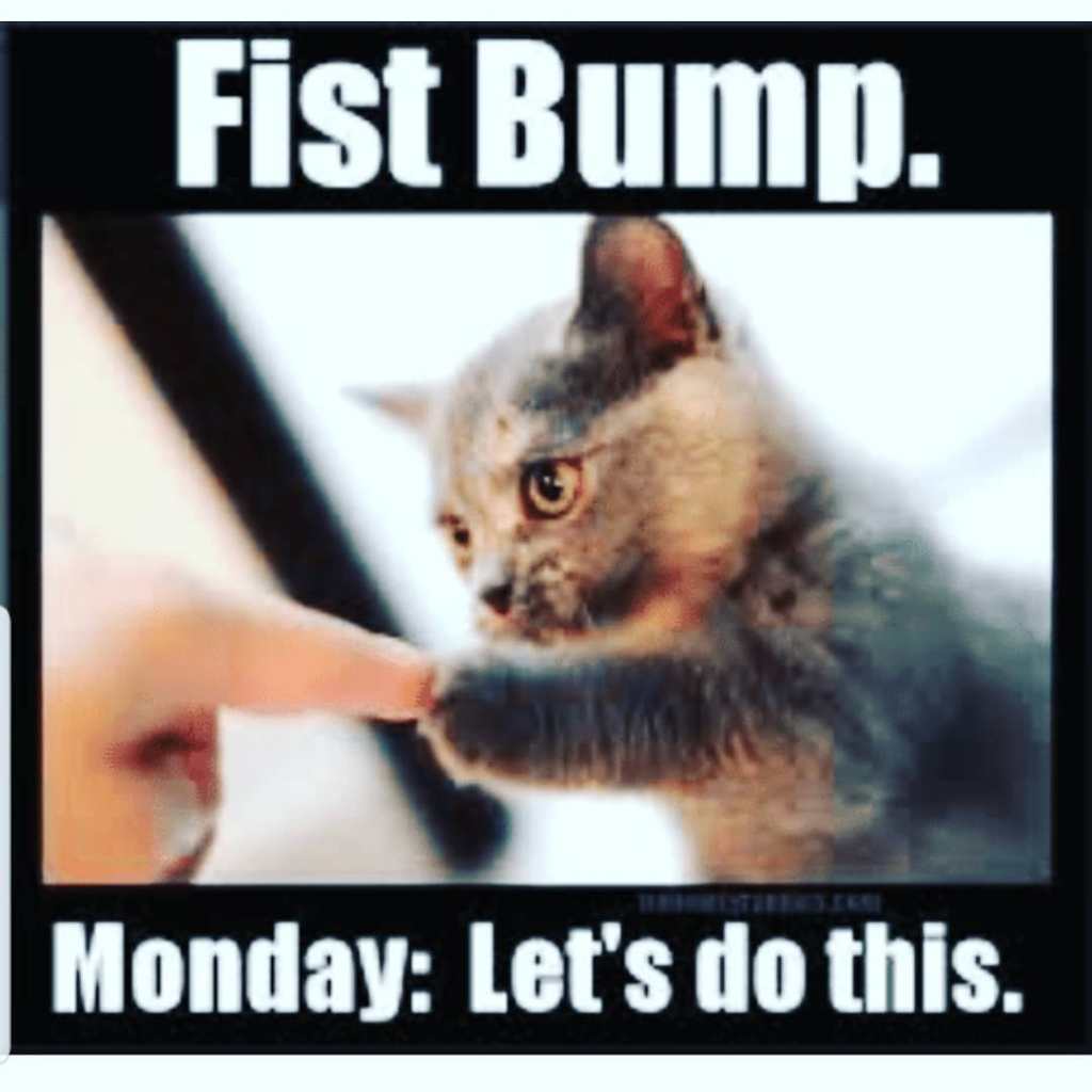 NWTrans's tweet photo. #happymonday everyone, here at #nationwidetransportation its important to start Monday off on a positive note. #mondaymotivation https://t.co/CHbKWi6Y7L