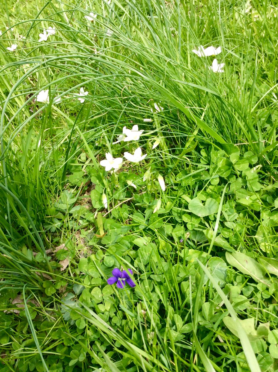 Dr Dawn Miranda Sherratt-Bado tweet media