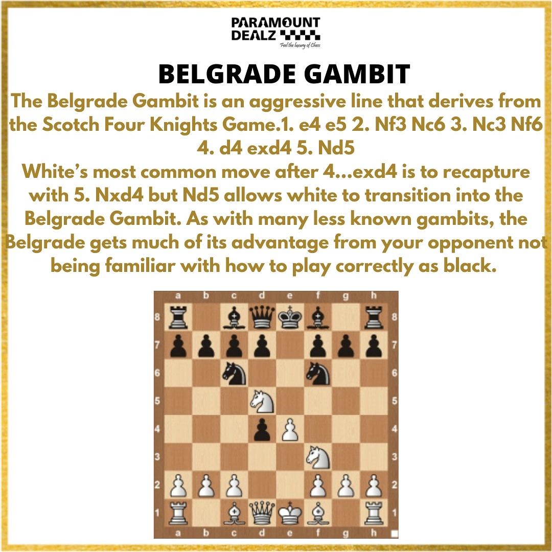 DealzParamount's tweet photo. BELGRADE GAMBIT most advantageous opening for white✌✌♟
.
.
.
#chessvictory #chessopeningstrategy #chessopening #chessmoves #chessblack #chesswhite #chesswin #chessdefeat #chessaddict #chesslosses https://t.co/xhQrHeBnvV
