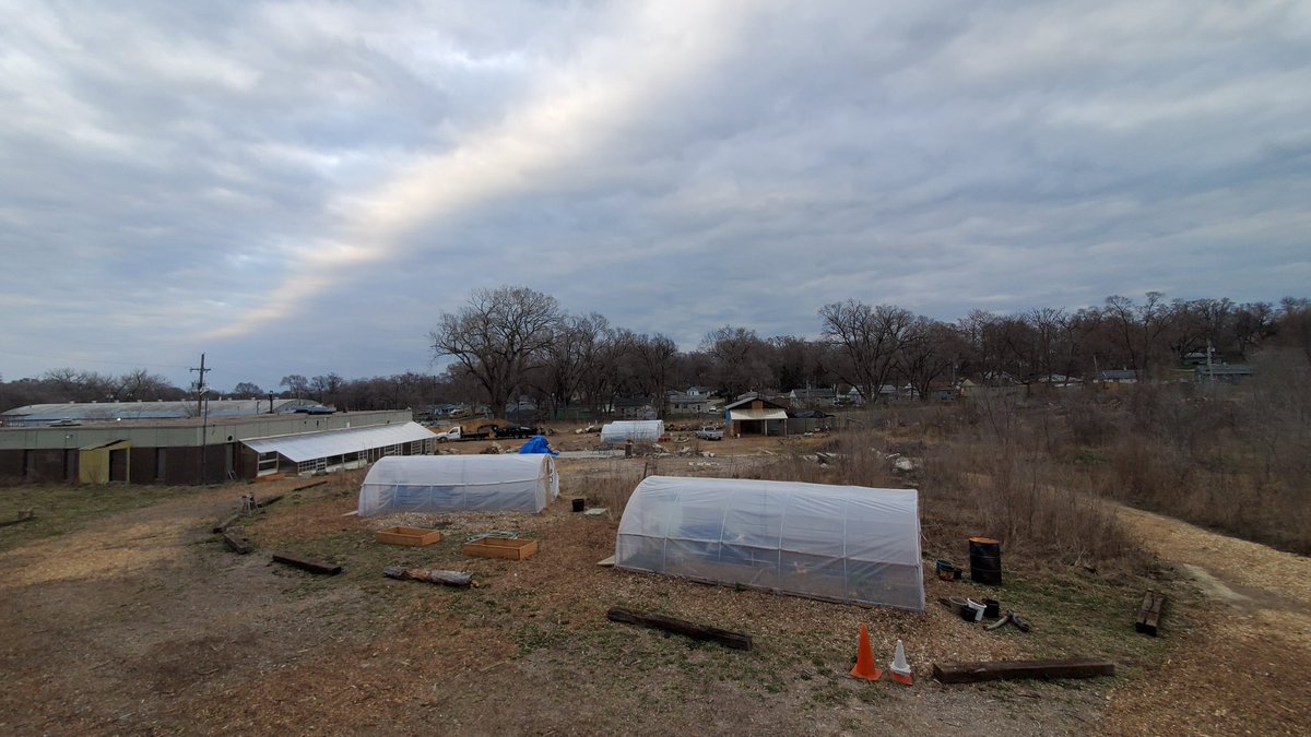 OmaPermaculture's tweet photo. Our pre-spring #zone5b season is well underway. 8 #polarvortex #coldframes growing mostly spinach using #nofossilfuels. 1 lightly heated #leantogreenhouse growing papaya, mango, olive, kiwi, lemon, lime, guava, dragonfruit and lemongrass #permaculture https://t.co/CZ4ugJIL56