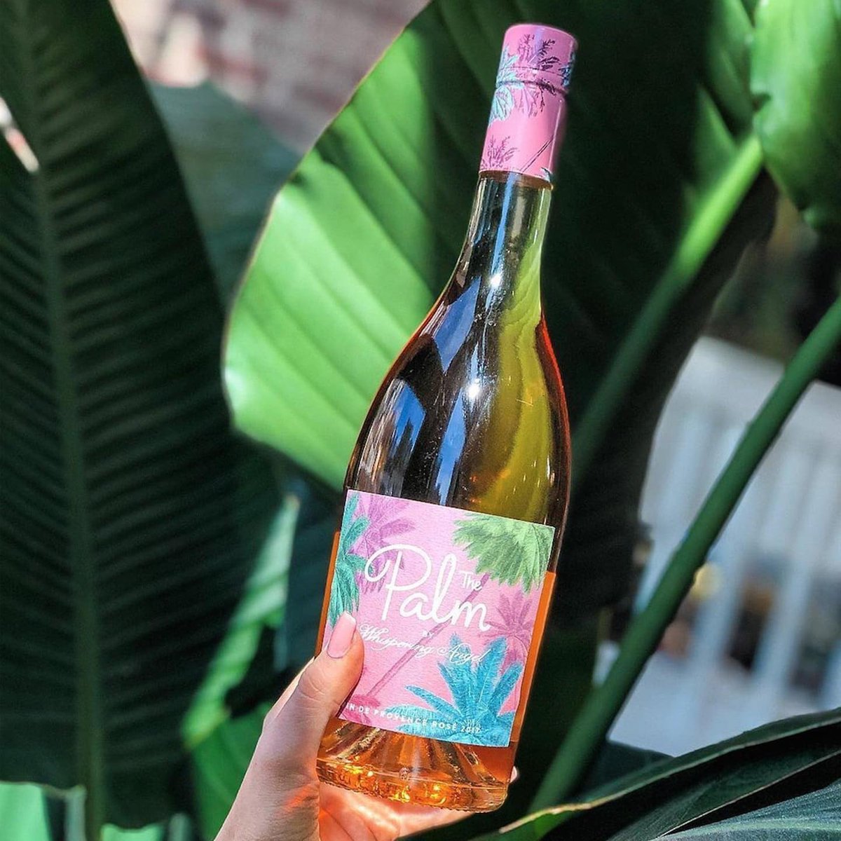 WineTrust100's tweet photo. We're celebrating rosé wine this week!
@lawsonsdryhills Pink Pinot - now £8.95
@WhisperingAngel The Palm Rosé - now £13.95
@CavalchinaWine Bardolino Chiaretto - now £9.95
To view our full range of rosé wines and offers visit: https://t.co/cyOz3LQ2ll
#winetrust100 #pinkwine https://t.co/ssg1fO7O4p