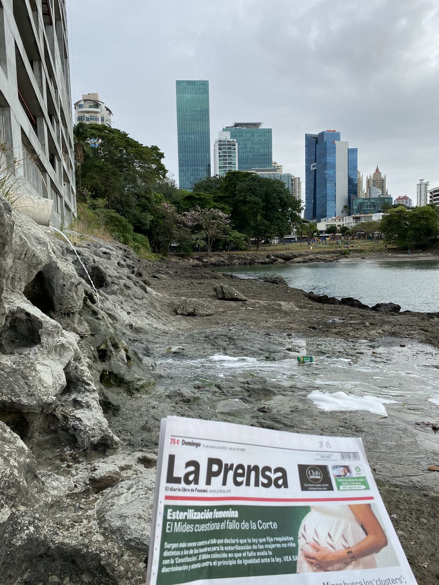 Denuncia Ambiental tweet media