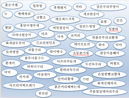 일단, 1권부터 3권까지 한번이라도 등장한 동물 이름을 정리해봤는데...