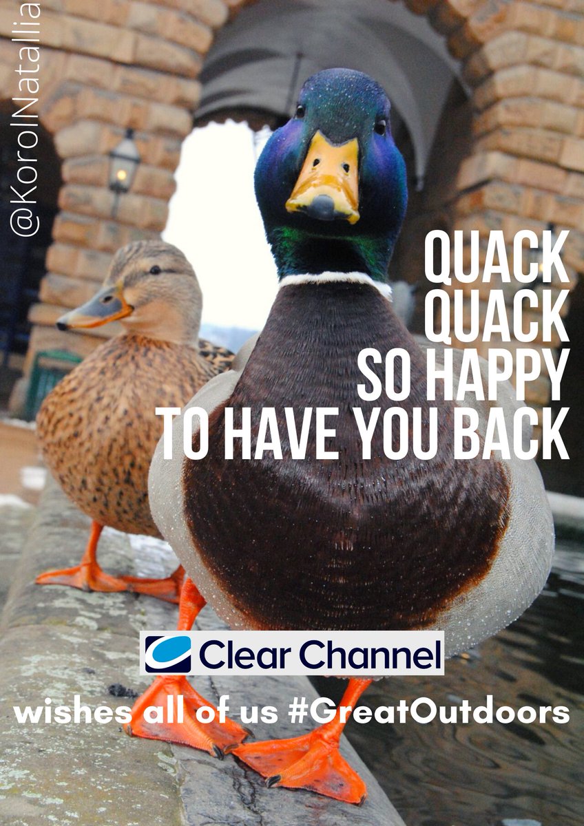 KorolNatallia's tweet photo. While staying home and getting sick, I'm coming up with ideas for @OneMinuteBriefs and @ClearChannelUK. Envy for happy ones who have their #GreatOutdoors https://t.co/thtTnIXb2a