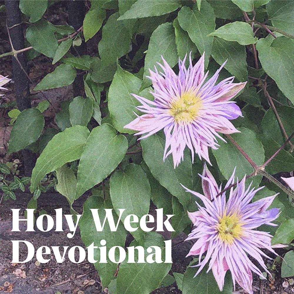 Throughout Holy Week, we will send brief devotionals from the gospel writers' accounts of these days leading up to Jesus' crucifixion and resurrection. To subscribe, go here buff.ly/3vOCeew