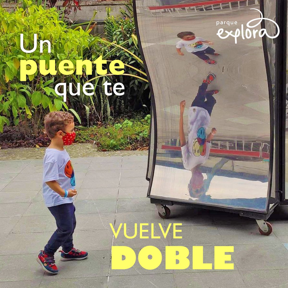 ParqueExplora's tweet photo. Los espejos FORMAN IMÁGENES nítidas porque reflejan casi toda la luz en orden.

Si nunca te has visto a ti mismo en el algodón, la madera o el pelaje de un gato es porque la luz no rebota en estas superficies como llega. 
👇 https://t.co/CPfHpnh3BW