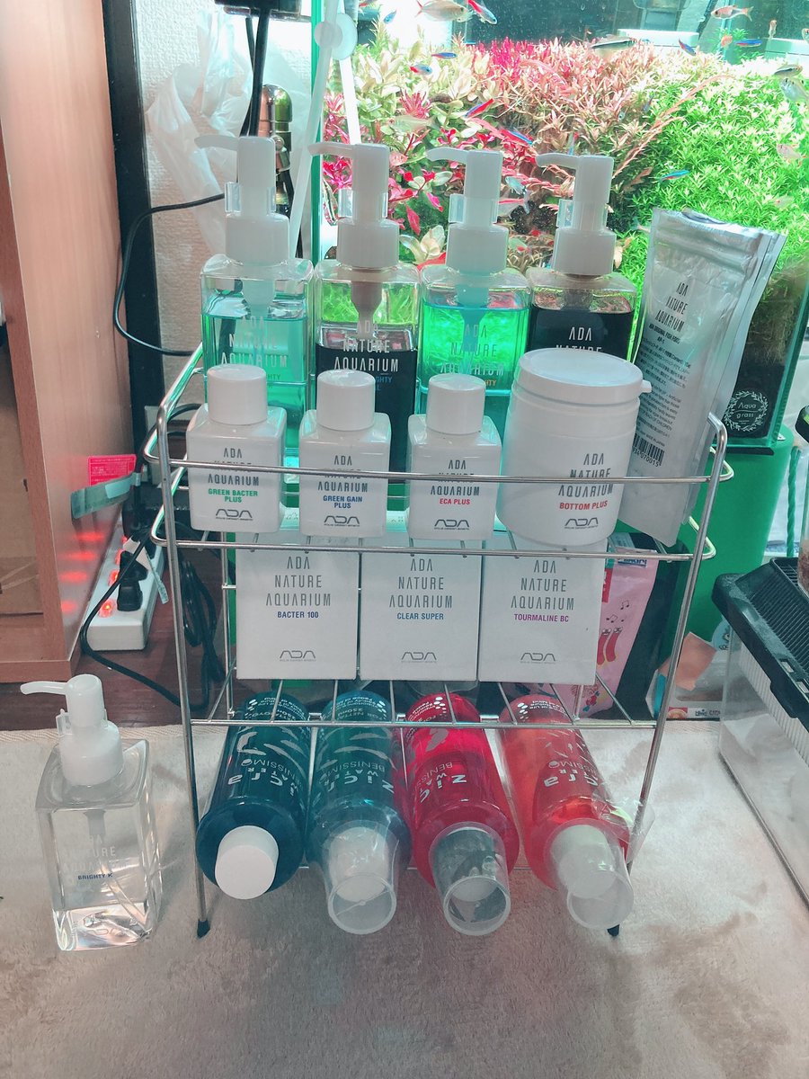 ぽん Aquarium 𖥧𖥧 𓆛 𖥧𖥧 やばい ダイソーの 浴用ワイヤー3段ラック ステンレス 用品置きに丁度良いね 500でのこの使いやすさ 置きやすさは完璧や 液体肥料 横に5つ置けないデメリットはあるけど いつも使う4つは置けるからまあいいか ぽん Aquarium 𖥧𖥧 𓆛 𖥧𖥧 やばい ダイソーの 浴用ワイヤー3段ラック ステンレス 用品置きに丁度良いね 500でのこの使いやすさ 置きやすさは完璧や 液体肥料 横に5つ置けないデメリットはあるけど いつも使う4つは置けるからまあいいか