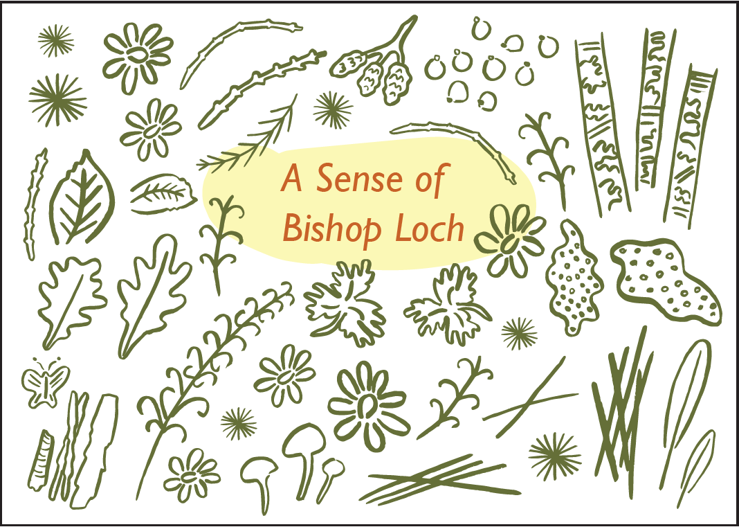 PlatformGlasgow's tweet image. This week we are digitally launching #ASenseOfBishopLoch - commissioned by @SevenLochs @ForestryLS and Platform &amp;amp; with artists @Audsvisual &amp;amp; @adanseywright. Keep an eye on our Instagram for all the info: instagram.com/platformglasgow