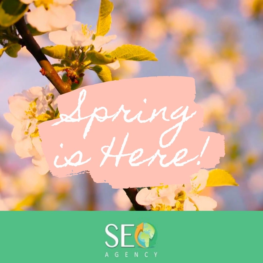 seoukagency's tweet photo. Spring is here🌸

#spring #march https://t.co/XlzqYkTasF