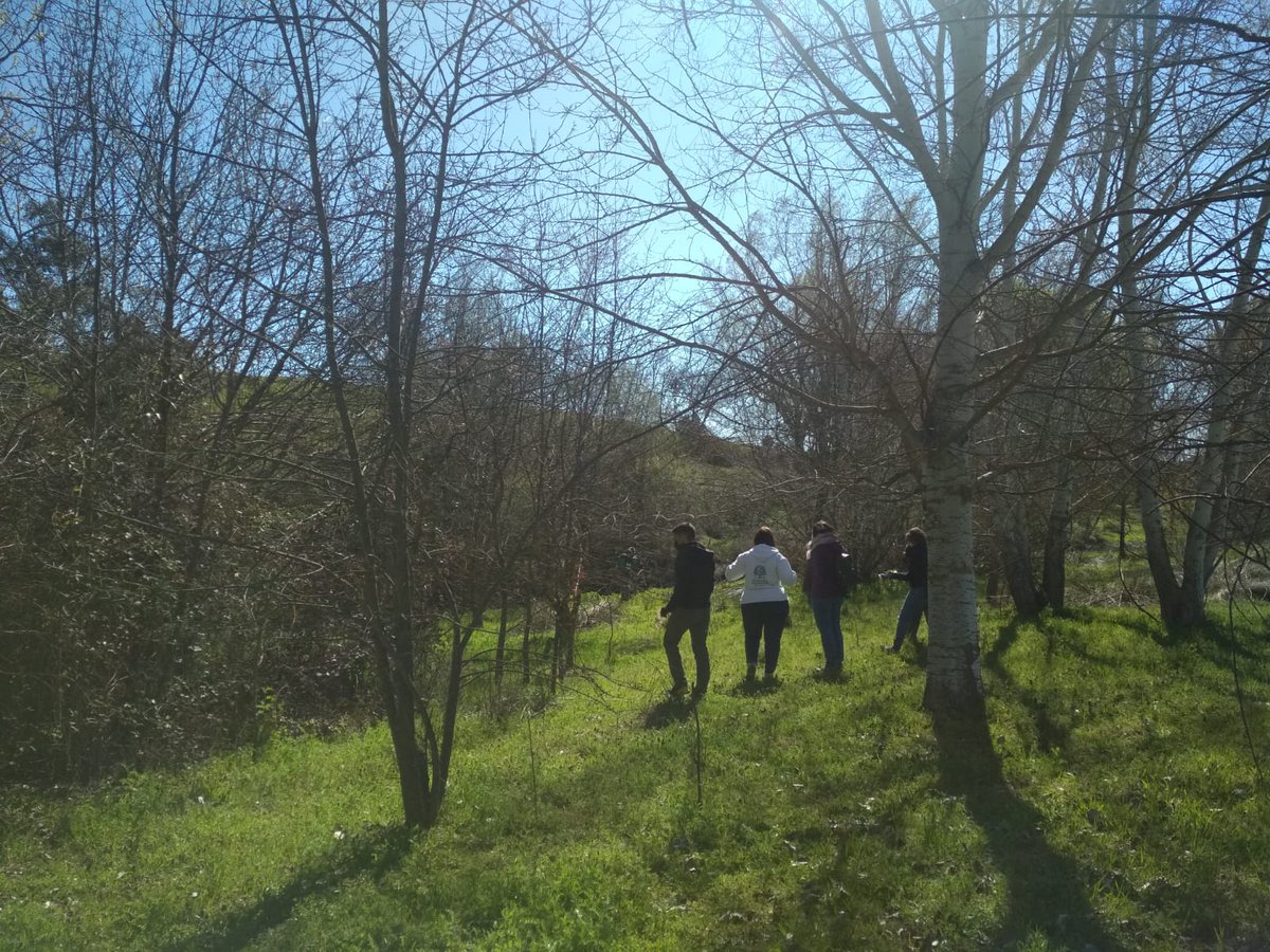 EcoherenciaSCA's tweet photo. 💧El sábado estuvimos en el río Guadalix retirando residuos de orillas y cauce gracias a la iniciativa del @AytoSanAgustin, que además se enmarcó dentro del proyecto Libera.

💩Gracias a los 20 jóvenes participantes de San Agustín de Guadalix retiramos 85 kilos de basura del río. https://t.co/zmb2wEB323