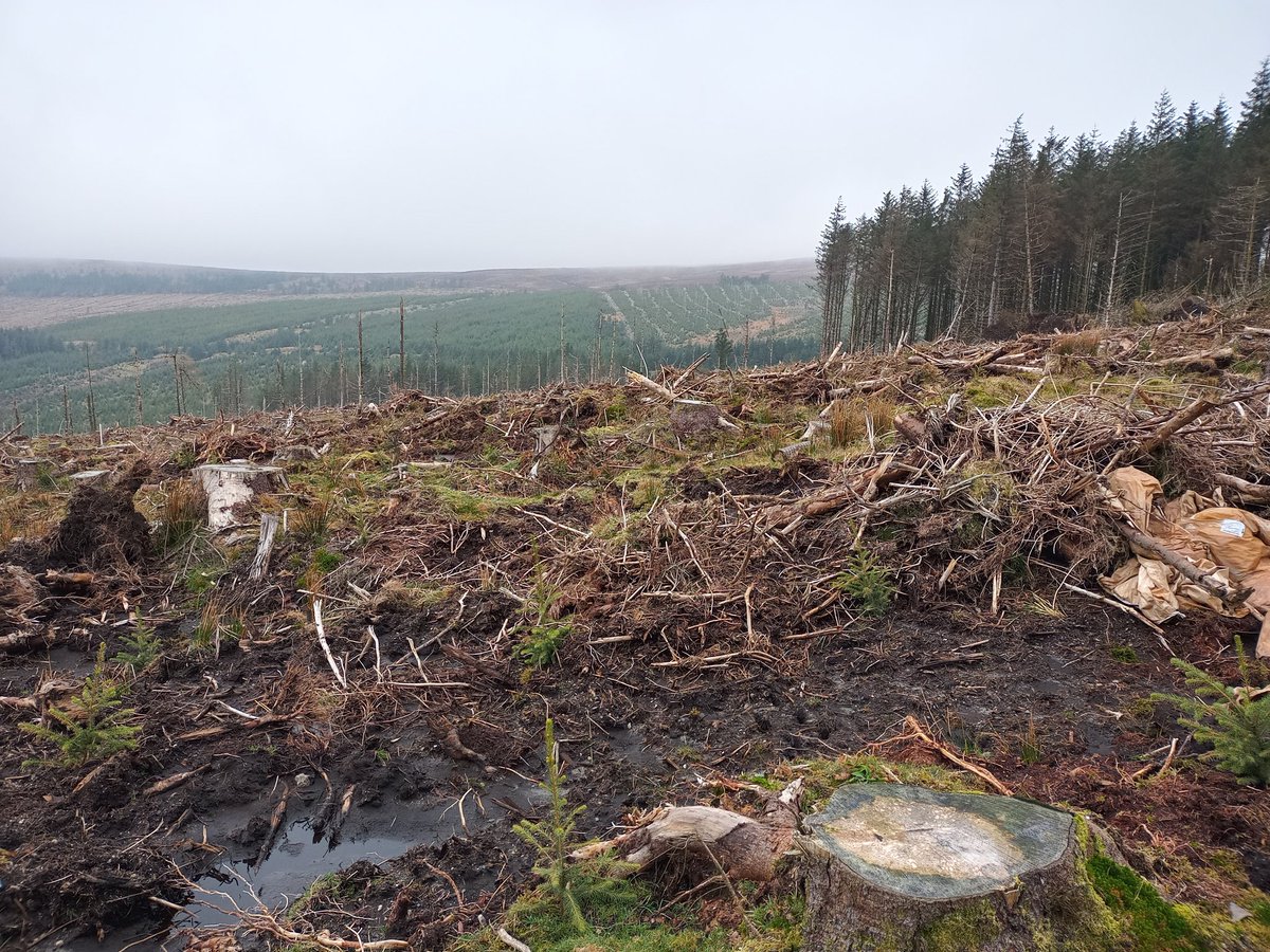 ReformWater_IE's tweet photo. Happy #WorldWaterDay ! Over the weekend we collected samples from sites like this to monitor the effects of #peatland forestry operations on water quality π²π¦ https://t.co/qUhMUijlFX
