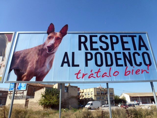 huelladejaen's tweet photo. ¡Hoy es el Día Internacional del #Podenco ! 🌷
Usados y abusados como los galgos #noalacaza
Ellos también son #perrosdecasa #NoCompresAdopta https://t.co/Xe4ZNnOz13