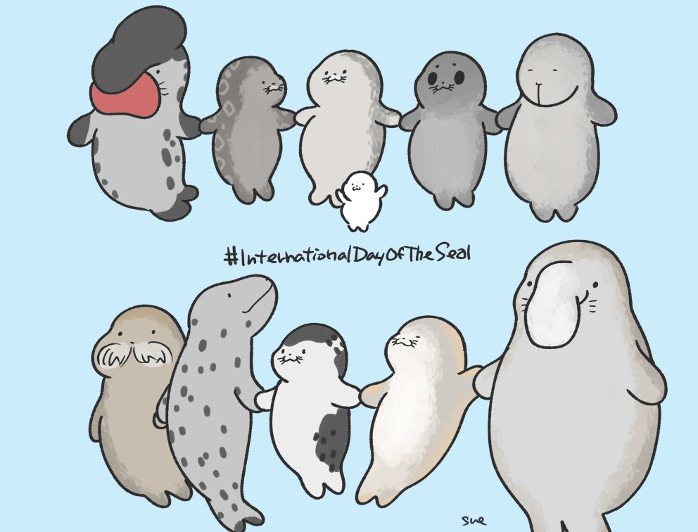 #国際アザラシの日 だそうなので。。。
#InternationalDayOfTheSeal #あざらし #アザラシ