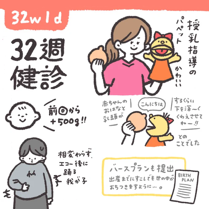 本日の健診👶赤子は2週間で500g増えていました(お腹が随分大きく&重くなったなと思っていたけど、納得…。)パペットちゃんを使っての授乳指導、おもしろたのしかった

#32w1d 