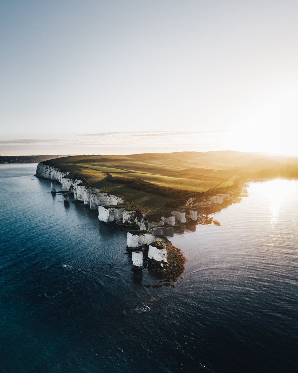 SimonAllenPhotograph tweet media