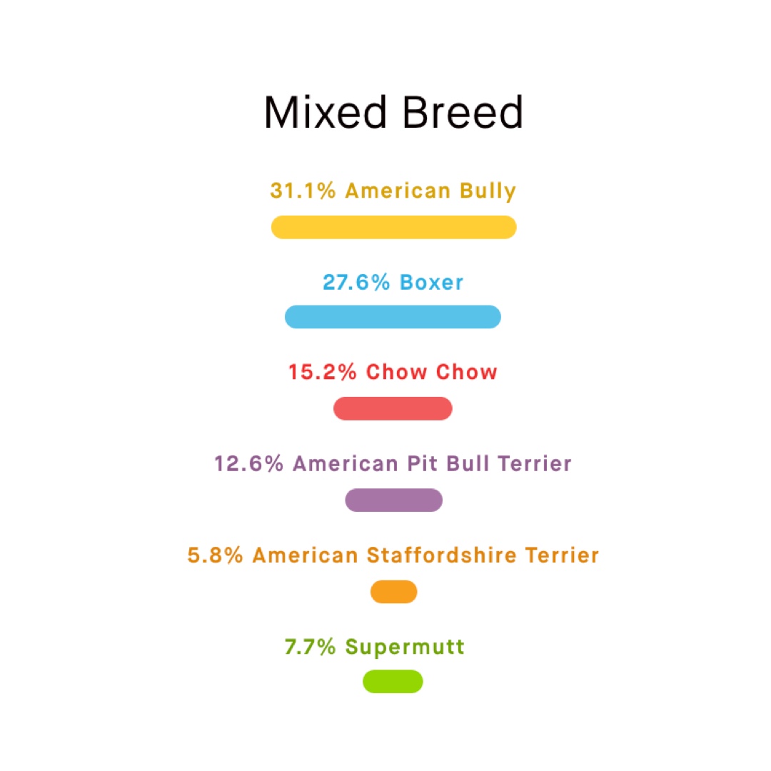 embarkvet's tweet photo. Can you match the #MuttMadness players' Embark breed results correctly? Reply with your guess! #MondayMatch Check back tomorrow to see if you got it right!
1. Dallas
2. Viola
3. A
4. B
🐶 Learn more about these adoptable pups: https://t.co/f95wE052fK
📸 @PFPMI
#EmbarkVet https://t.co/pCLel0sq6D