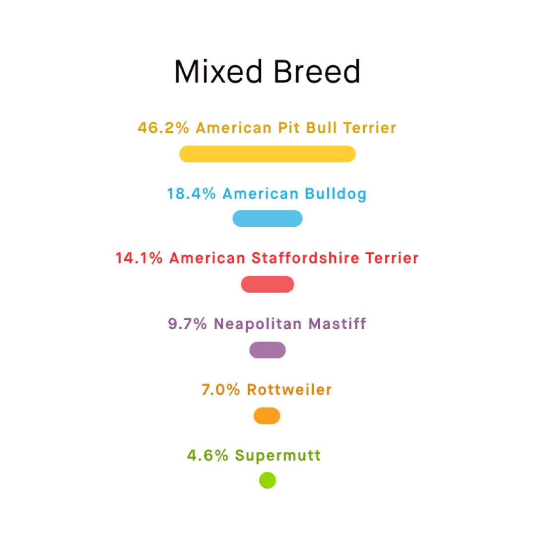 embarkvet's tweet photo. Can you match the #MuttMadness players' Embark breed results correctly? Reply with your guess! #MondayMatch Check back tomorrow to see if you got it right!
1. Dallas
2. Viola
3. A
4. B
🐶 Learn more about these adoptable pups: https://t.co/f95wE052fK
📸 @PFPMI
#EmbarkVet https://t.co/pCLel0sq6D