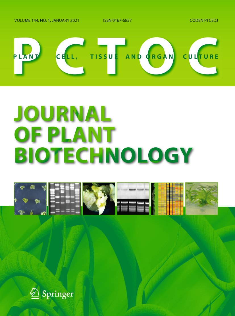 SpringerPlants's tweet photo. Have you seen the special issue on "Cryopreservation and In Vitro Banking" published in Plant Cell, Tissue and Organ Culture (#PCTOC) yet? 

See the table of contents here👉https://t.co/kBHTIKcHTL https://t.co/fsrnhl838T